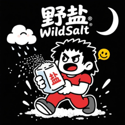 野盐博客 - WildSaltLab.Blog - 在模糊中选择看清，在混乱中主动寻找意义